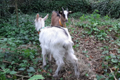 Le Domaine de Keranflech