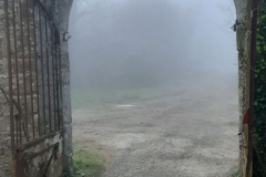 La brume à travers le porche